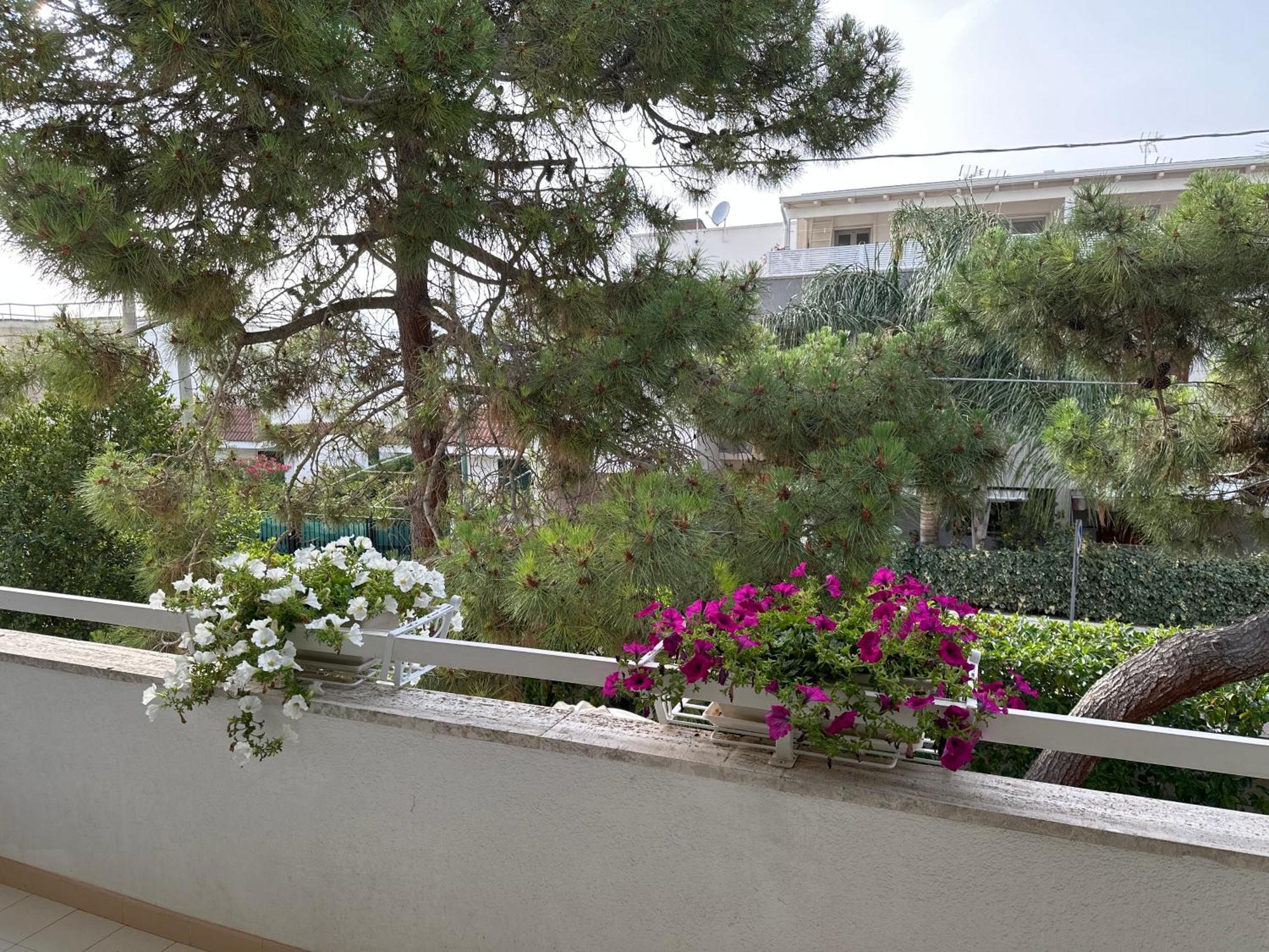 بورتو سيساريو Villa Teresa Maria المظهر الخارجي الصورة